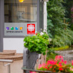 Psychosen erleben und begreifen